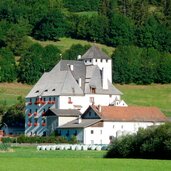 wiesen pfitsch schloss moos