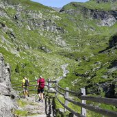 abschnitt vor der zielalm