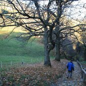 feldthurns schrambach herbst kastanienhain