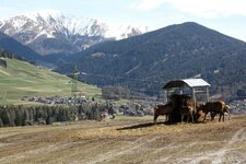 tierpark toblach