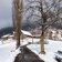 blick auf afing dorf winter fr