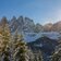 Villnoess Geisler Wald Schnee Winter