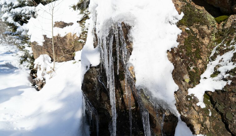 eiszapfen winter