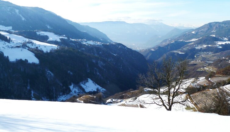 tierser tal winter