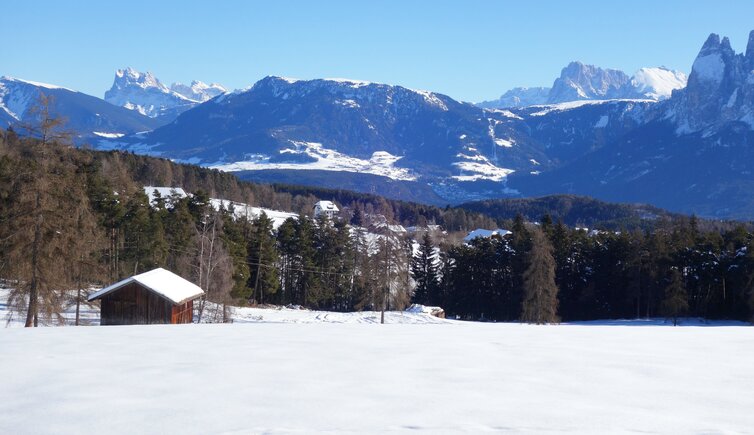 ritten winter dolomitenblick fr