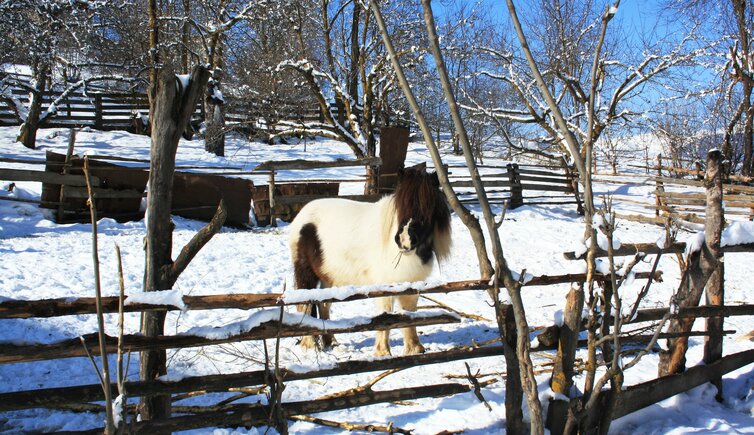 st lorenzen moos winter