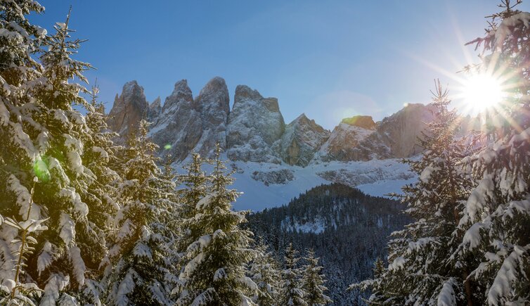 Villnoess Geisler Wald Schnee Winter