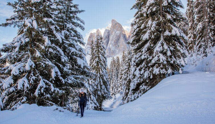 Villnoess Geisler Rodeln Schlitten Wald Schnee Winter